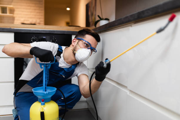 Best Pest Control for Restaurants  in Schenectady, NY