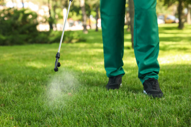 Best Spider Control Near Me  in Schenectady, NY