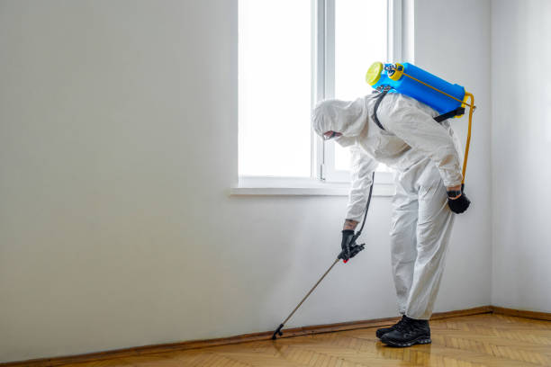 Best Flea Control Services  in Schenectady, NY