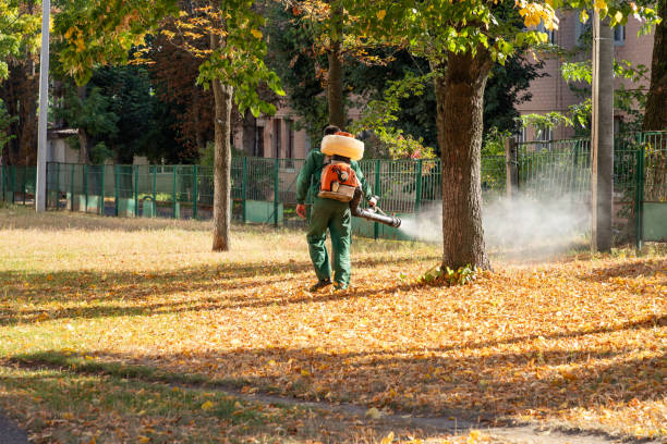 Best Exterminator Services  in Schenectady, NY