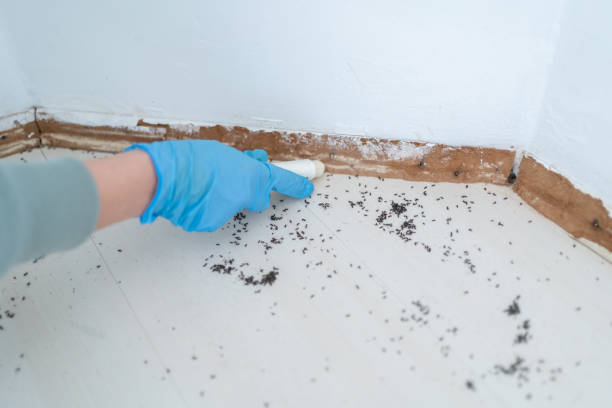 Best Exterminator Services  in Schenectady, NY