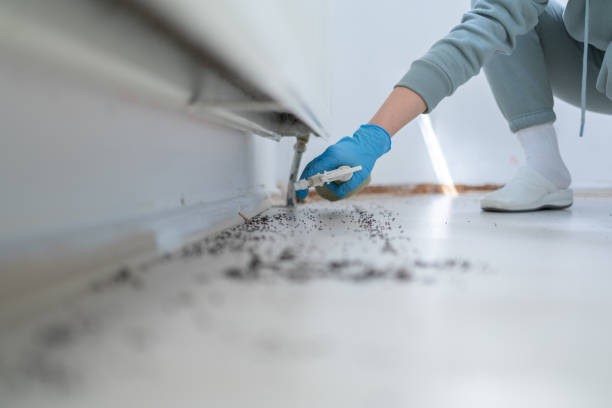 Best Insect Control  in Schenectady, NY